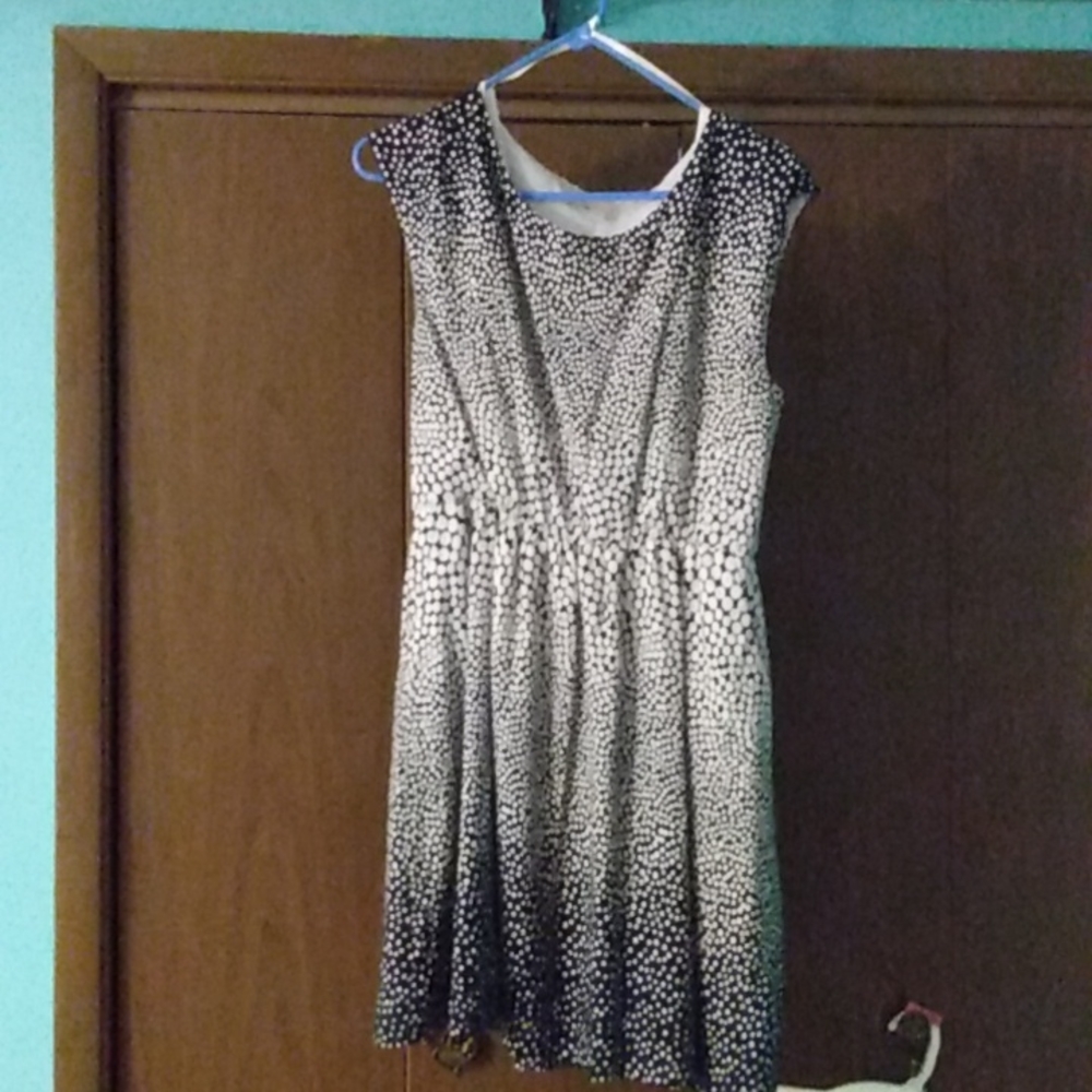 NWOT Gap Navy Blue and White Polka Dot Waist -Cinching Dress